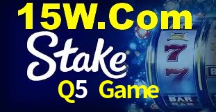 Premium Interface Q5 Game