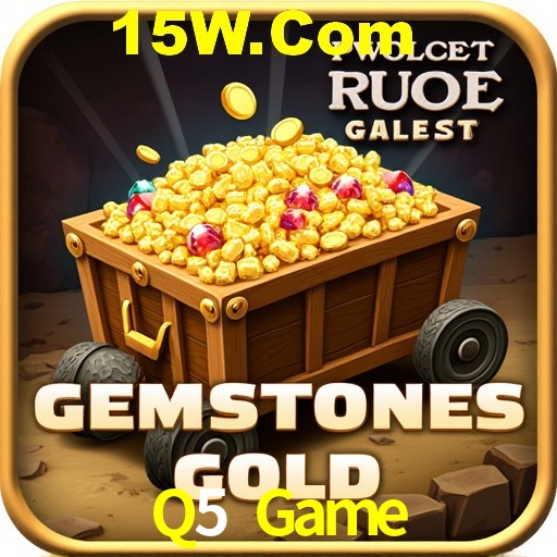 Casino VIP Q5 Game